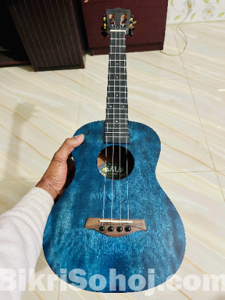 Kala brand ukulele